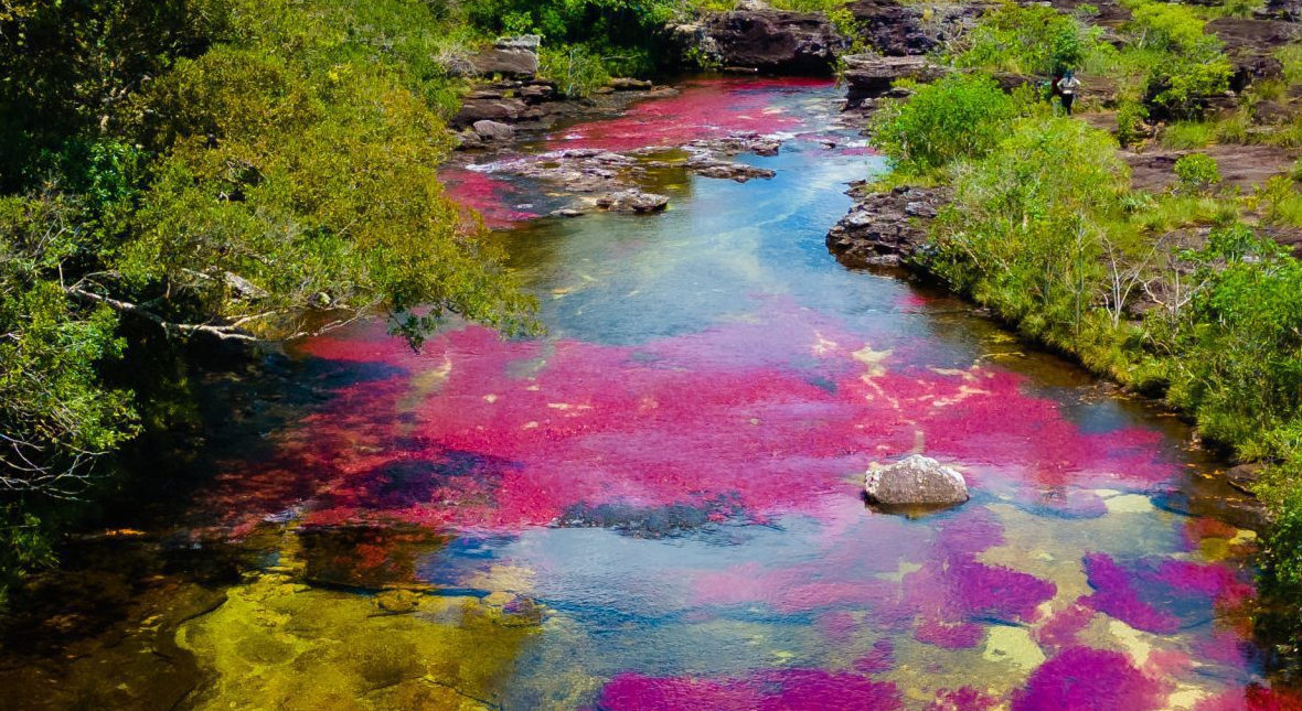 Cano Cristales river