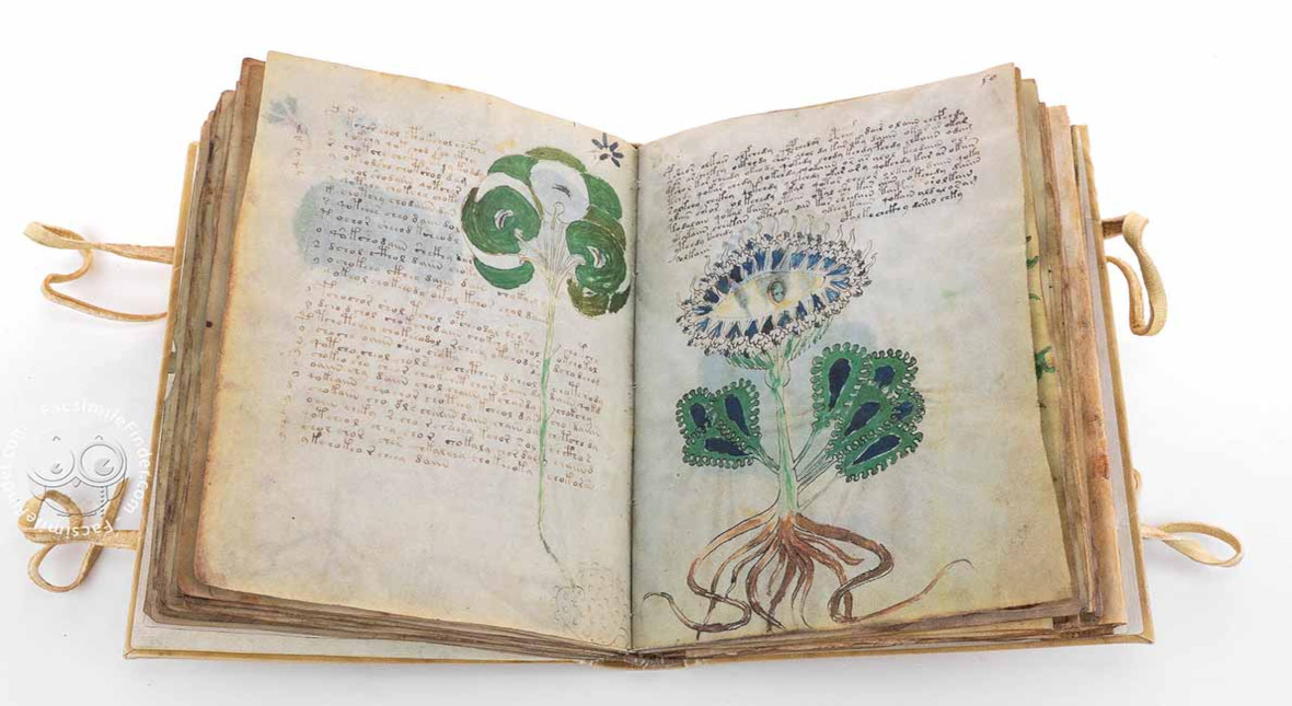 The Voynich manuscript